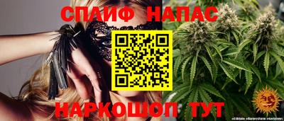 МДПВ Будённовск