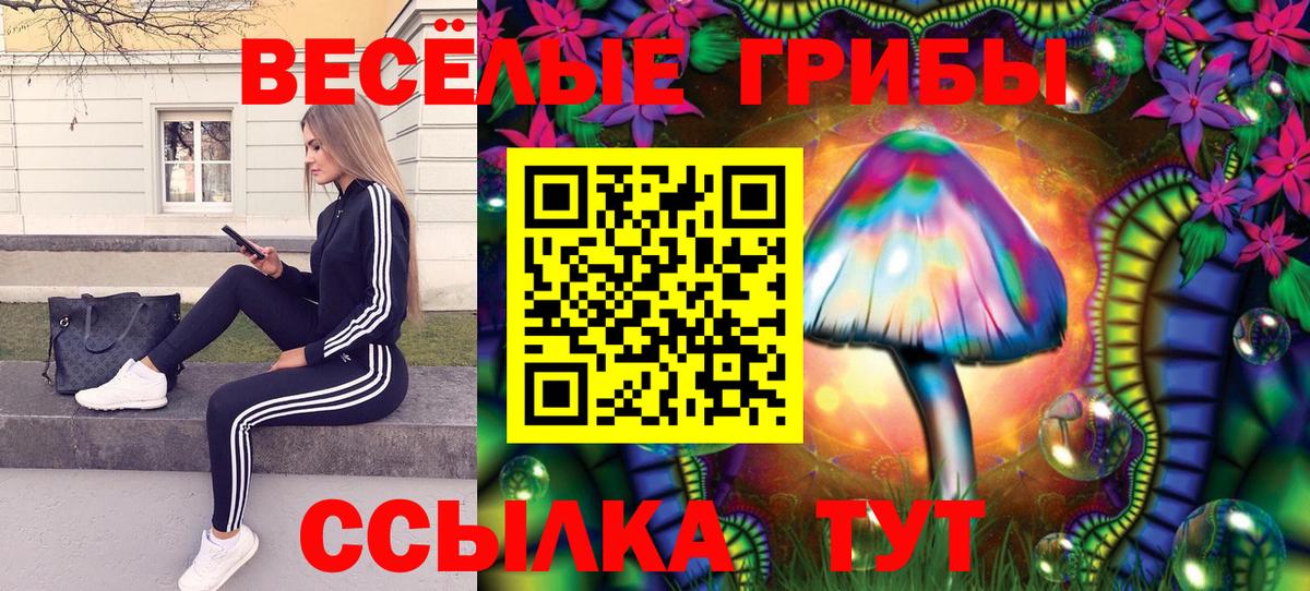 Псилоцибиновые грибы мицелий  Вход с VPN  Тамбов 